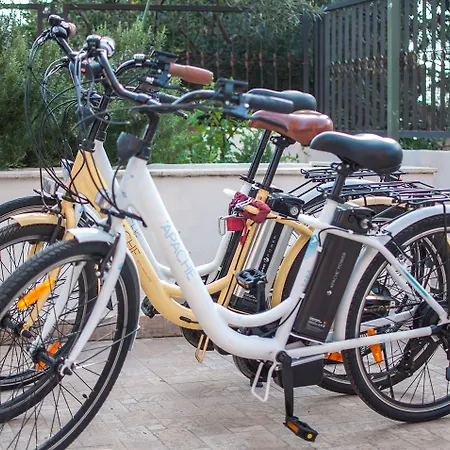 Poolside Paradise - A Hidden Gem In Split