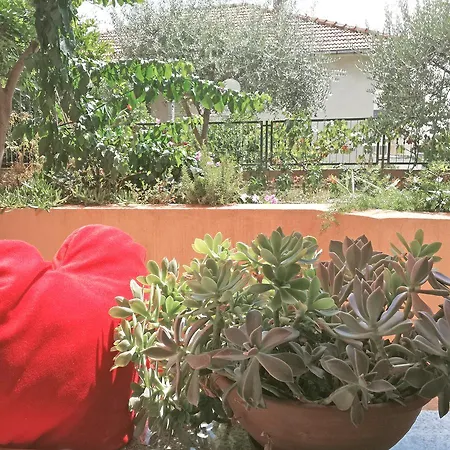 Appartement Poolside Paradise - A Hidden Gem In *